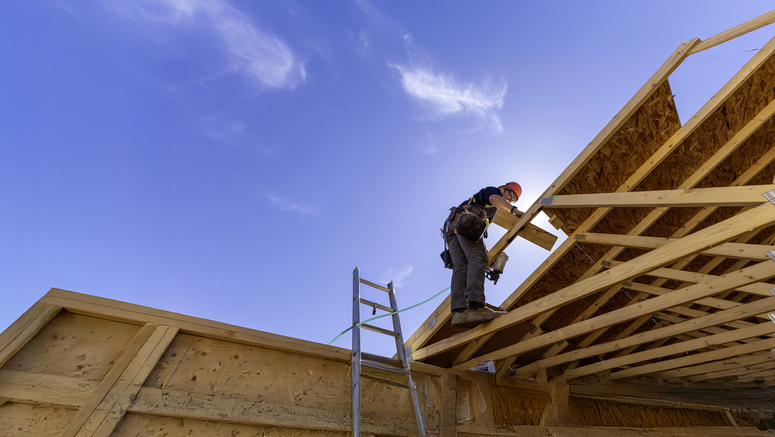 Coasterra_Contact_Builder